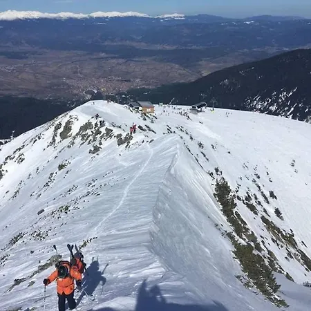 Sunny - Few Steps From Gondola בנסקו