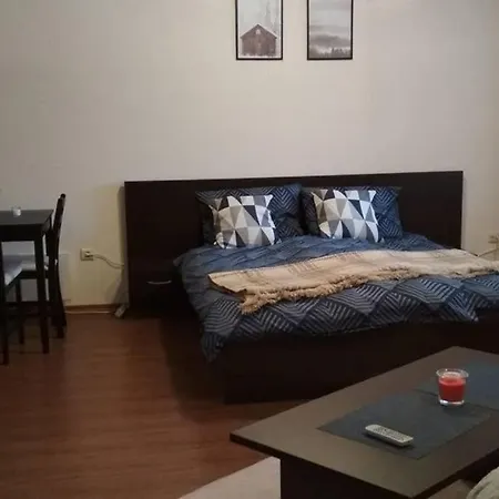 Sunny - Few Steps From Gondola Bansko