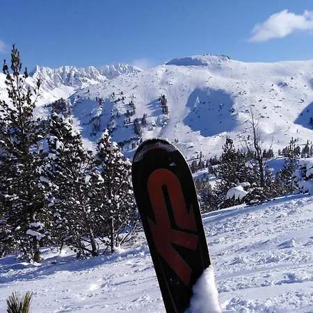 Sunny - Few Steps From Gondola *