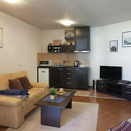 Sunny - Few Steps From Gondola Apartment *